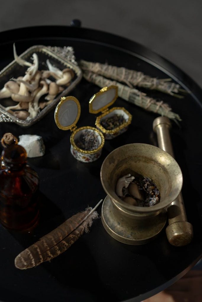 Dark mystic still life featuring mushrooms, feathers, and mystical trinkets on a black table.